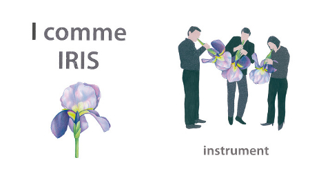 iris.jpg