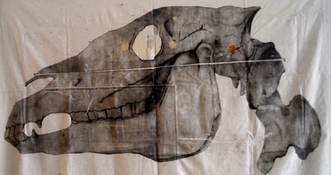 ION, exposition collective
